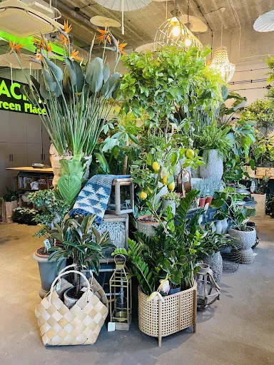 Kwiaciarnia Green Place Kwiaciarnia Toruń